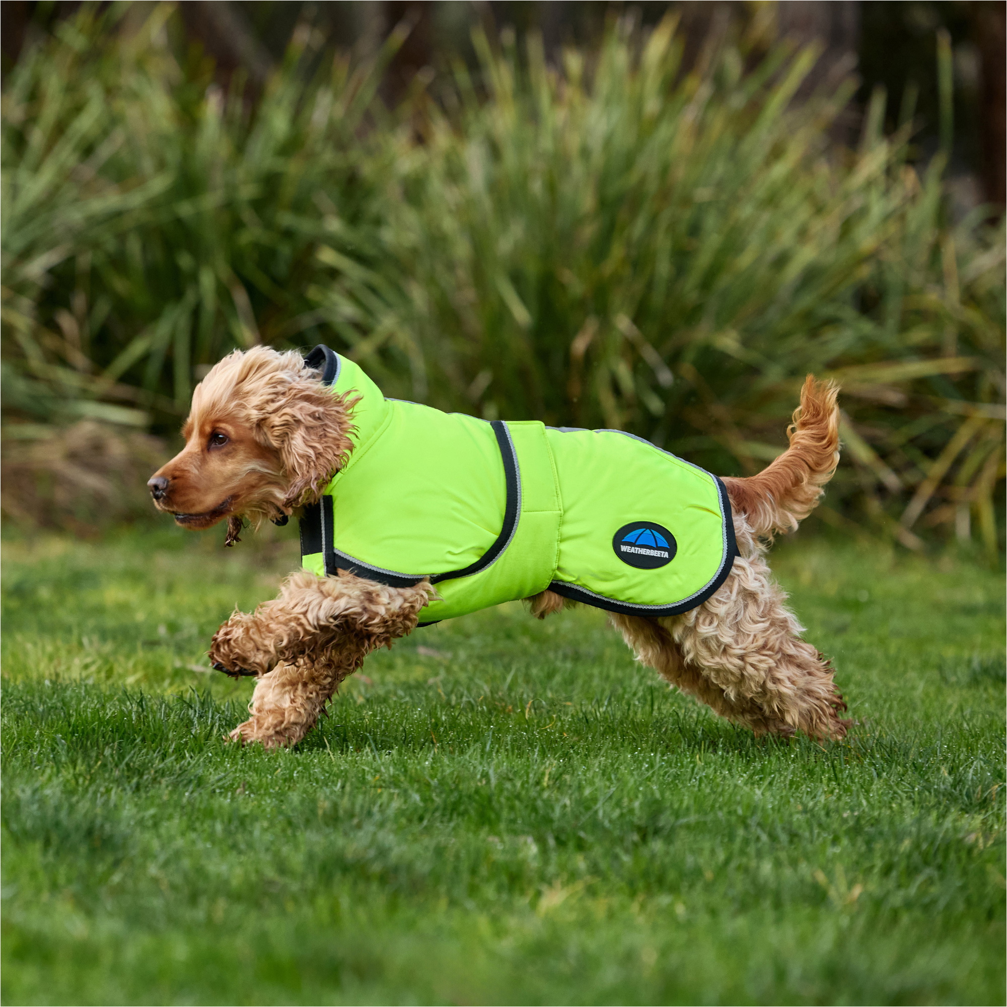 2025 Weatherbeeta Comfitec Reflective 300D Deluxe Showerproof Dog Coat 1029050 - Yellow
